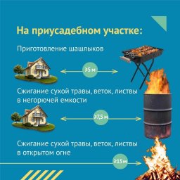 Сжигание веток и жарка шашлыка на своем участке