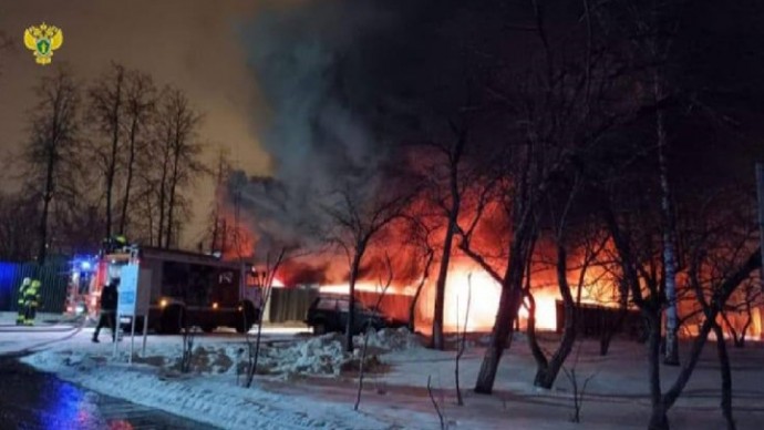 В новогоднюю ночь в столичном парке произошел масштабный пожар