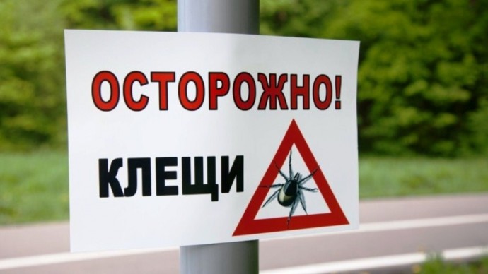 Памятка: ОСТОРОЖНО, КЛЕЩИ!